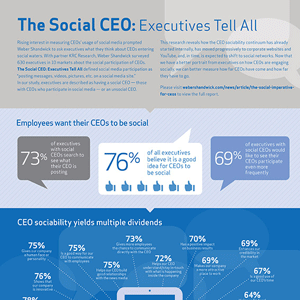 Social CEO Infografik