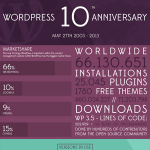 WordPress Geburtstag Infografik